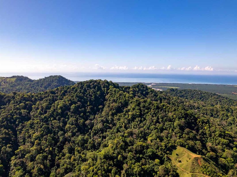 0 bed Lot/Land For Sale in Dominical,  - 1